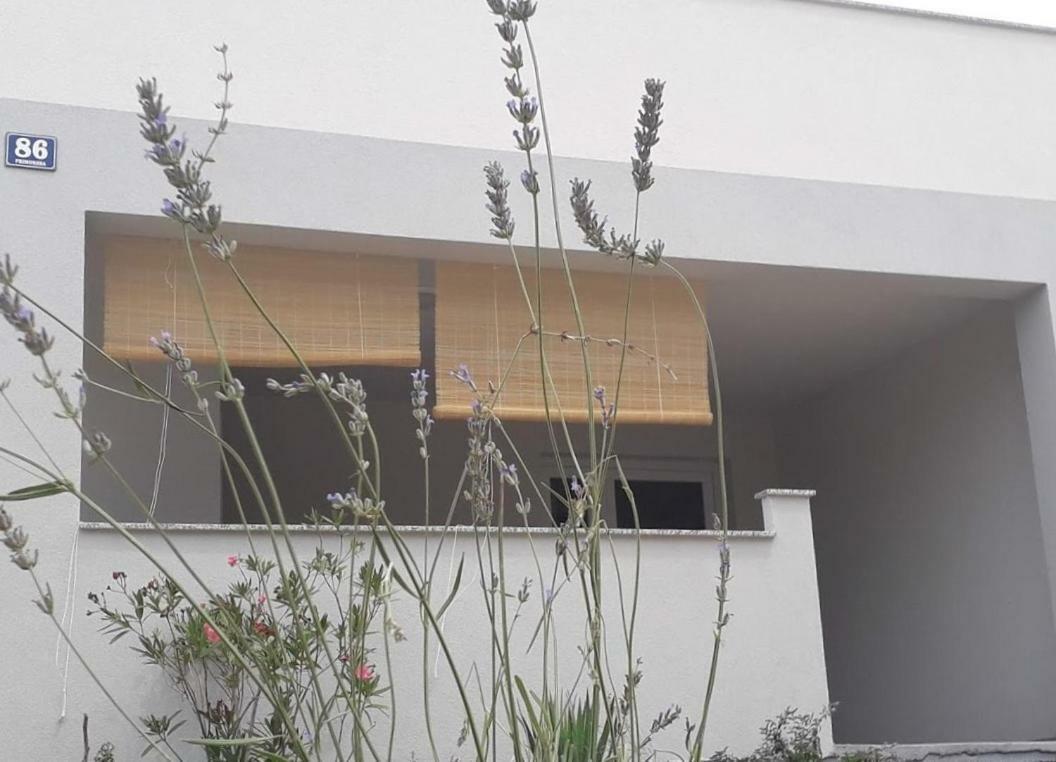 Ferienwohnung Luciana Povljana Exterior foto